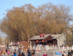 北京市内包车一日游到什刹海租车接