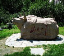 清华大学租车,北京市内35座大巴包车